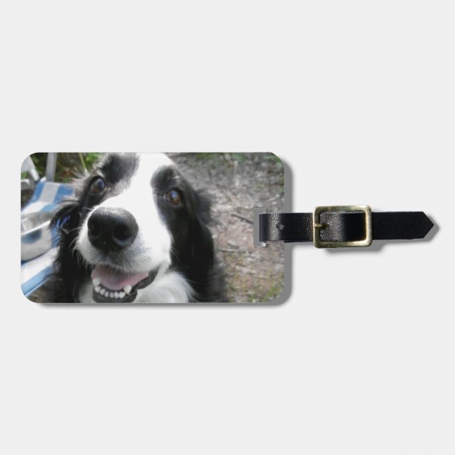 BORDER-COLLIE GEPÄCKANHÄNGER (Vorderseite horizontal)
