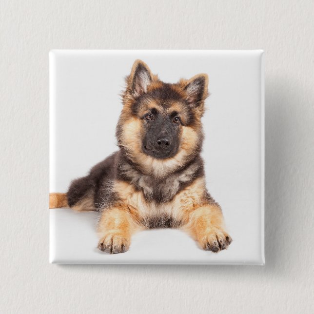 Border Collie German Shepherd Mix Button (Vorderseite)