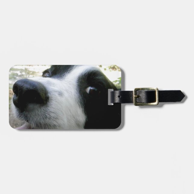 Border-Collie-Geschenke Gepäckanhänger (Vorderseite horizontal)