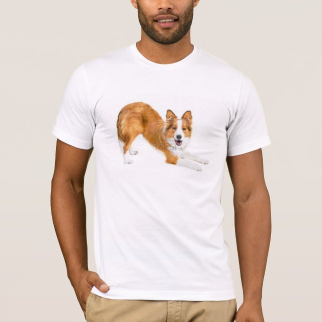 Border-Collie goldenes Red~Tee T-Shirt (Vorderseite)