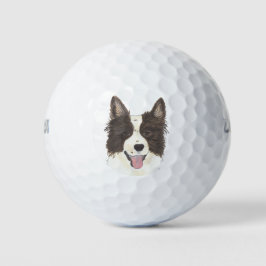 Border Collie Golfball