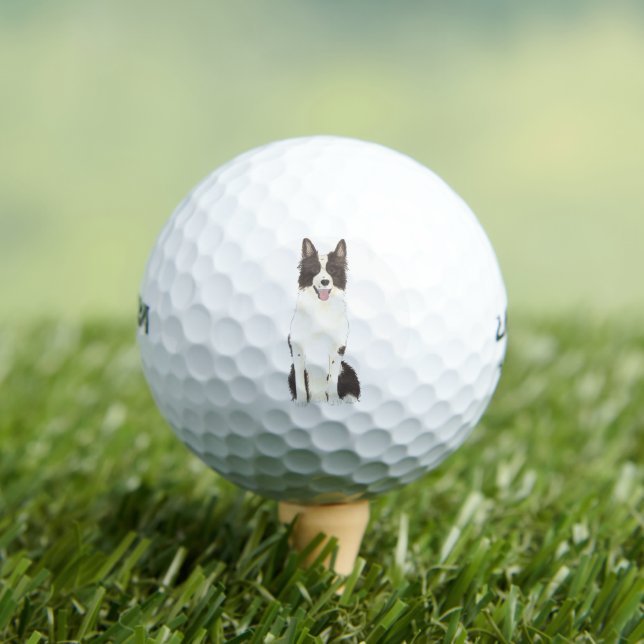 Border Collie Golfball (Insitu T-Shirt)