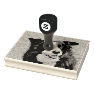 Border Collie Gummistempel