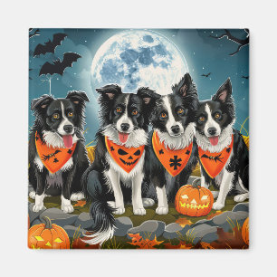 Border Collie Halloween Gruselig Magnet
