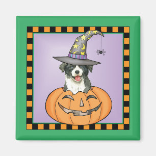 Border Collie Halloween Magnet