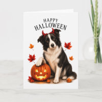 Border Collie Halloween Teufelshund