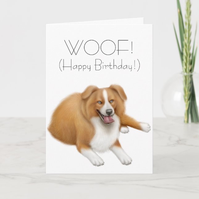 Border Collie Happy Birthday Card Karte (Vorderseite)