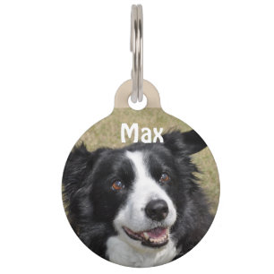 Border Collie Haustiermarke