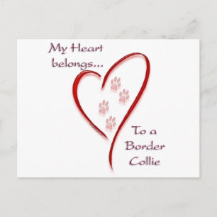 Border Collie Heart Belongs Postkarte