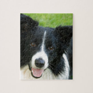 Border-Collie-Hund addieren Text-Haustier