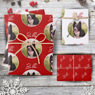 Border Collie Hund Foto Trendige Schriftart Hausti Geschenkpapier Set