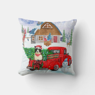 Border Collie Hund im Weihnachtslieferwagen Schnee Kissen