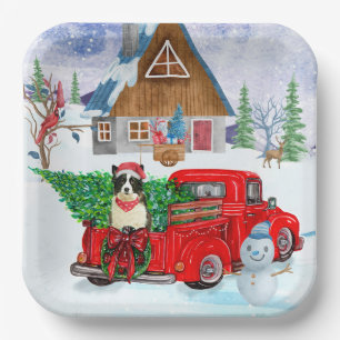 Border Collie Hund in Christmas Delivery LKW Schne Pappteller