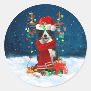 Border Collie Hund mit Weihnachtsgeschenken Runder Aufkleber
