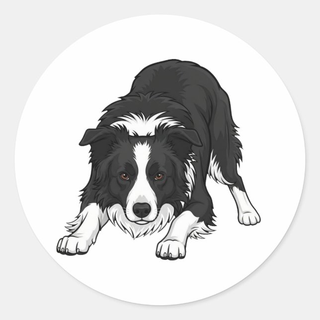 Border Collie Hund Runder Aufkleber (Vorderseite)