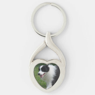 Border-Collie-Hund Schlüsselanhänger