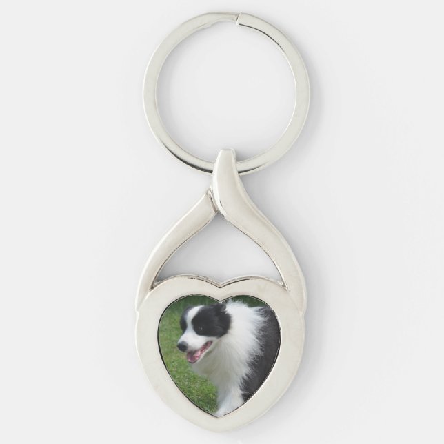 Border-Collie-Hund Schlüsselanhänger (Vorderseite)