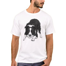 Border Collie Hund