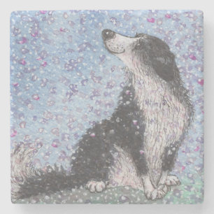 Border-Collie-Hund, träumend von der Blüten-Zeit Steinuntersetzer