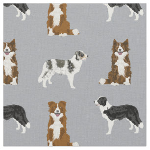 Border Collie Hunde braun, merle, grau Stoff
