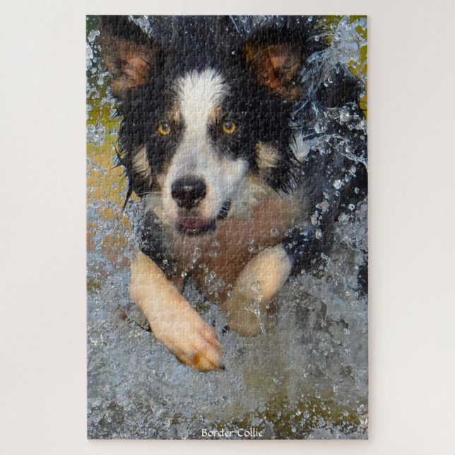 Border Collie Hunde. Puzzle (Vertikal)