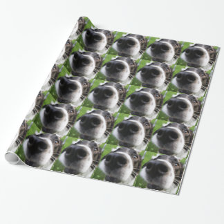 Border-Collie-Hundenase Geschenkpapier