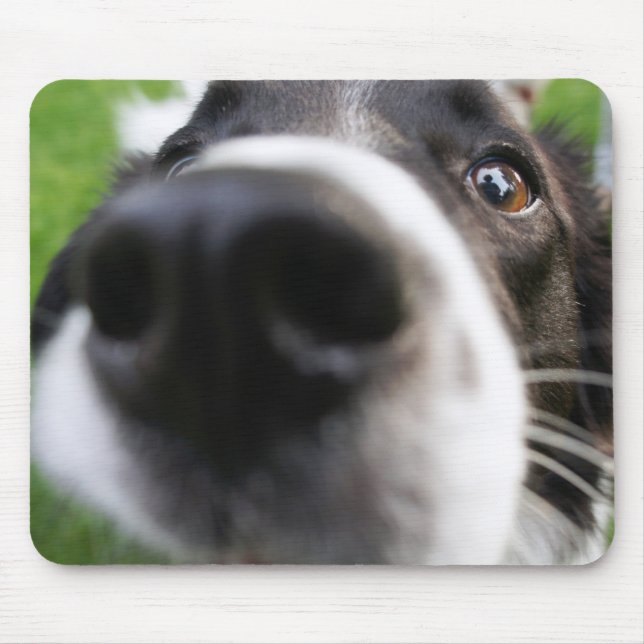 Border-Collie-Hundenase Mousepad (Vorne)