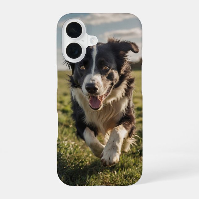 Border Collie Hüten iPhone 16 Hülle (Rückseite)