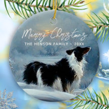 Border Collie im Winter Schnee Weihnachten Urlaub