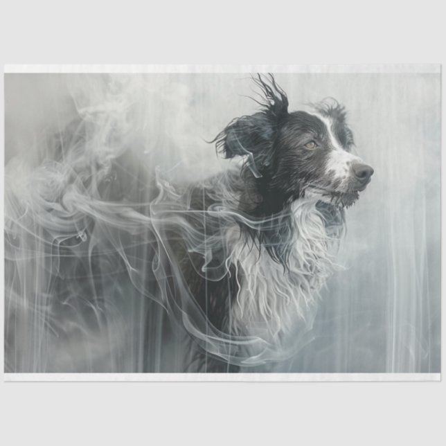 Border Collie in a Cloud of Smoke Decoupage Seidenpapier (Vorderseite)