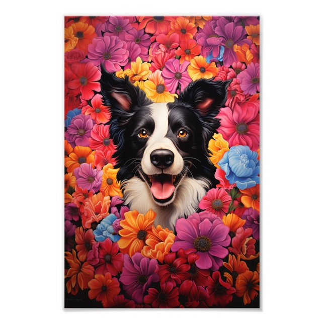 Border Collie in Blume Fotodruck (Vorne)