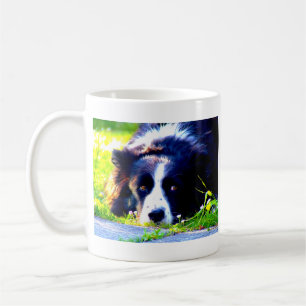 Border-Collie Kaffeetasse