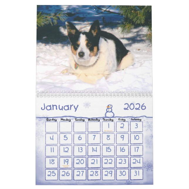 Border-Collie-Kalender 2011 Kalender (Jan 2026)
