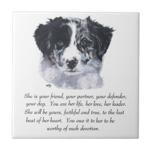 Border Collie Keepsakes Fliese