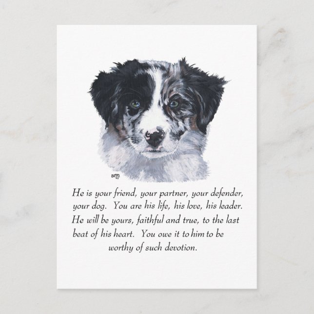 Border Collie Keepsakes Postkarte (Vorderseite)