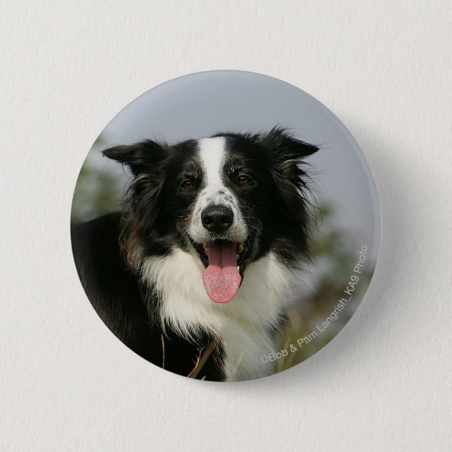 Border-Collie-KeuchenHeadshot 1 Button (Vorderseite)
