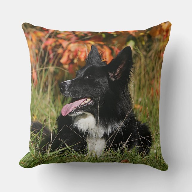 Border-Collie-Keuchenniederlegung Kissen (Vorderseite)