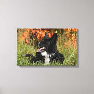 Border-Collie-Keuchenniederlegung Leinwanddruck