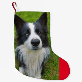 Border Collie Kleiner Weihnachtsstrumpf