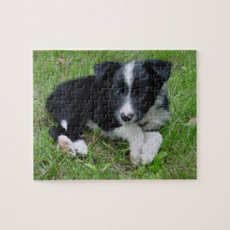 Border-Collie-kundengerechtes Puzzlespiel!