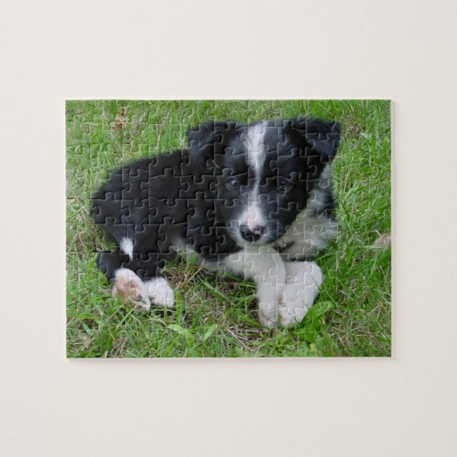 Border-Collie-kundengerechtes Puzzlespiel! (Horizontal)