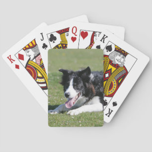 Border Collie Laying Down Spielkarten