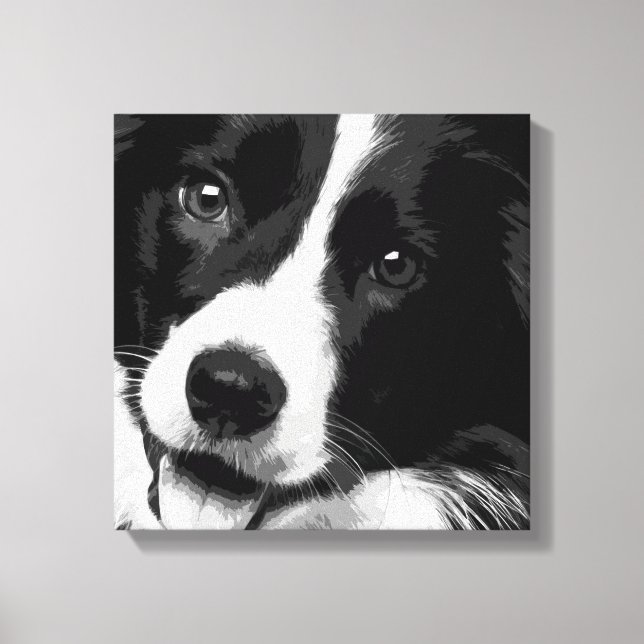 Border Collie Leinwanddruck (Vorderseite)
