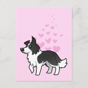 Border Collie Liebe Postkarte