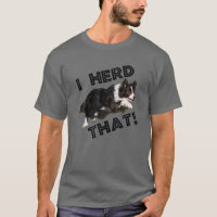 Border Collie liebt I Herde, diesen lustigen Herdi