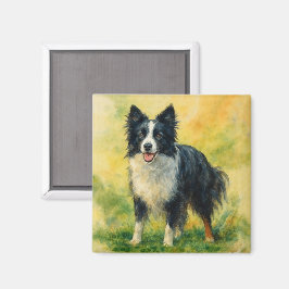 Border Collie Magnet
