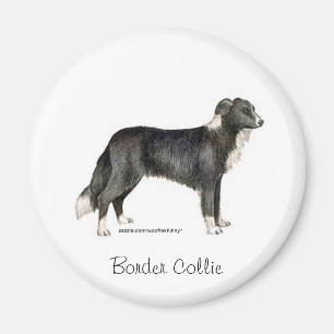 Border Collie Magnet