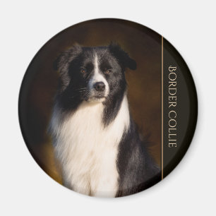 Border-Collie Magnet