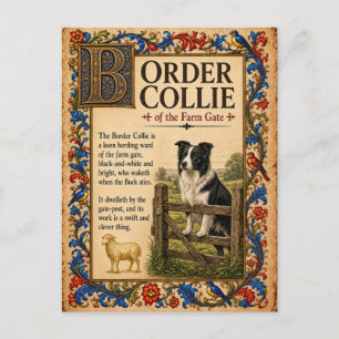 Border Collie, mittelalterliche Bestiarien-Kunst Postkarte