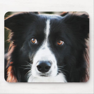 Border-Collie Mousepad